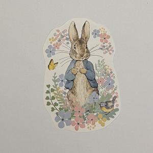Notinha Peter Rabbit
