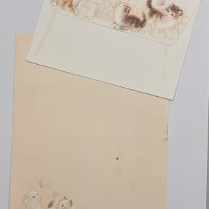 Papel de carta + envelope gatinhos