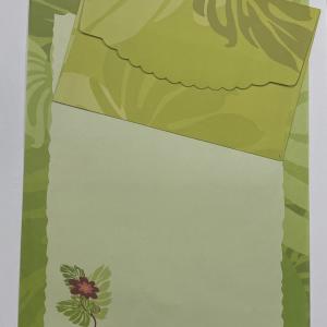Papel de carta + envelope