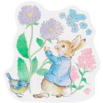 Notinhas Peter Rabbit die cut