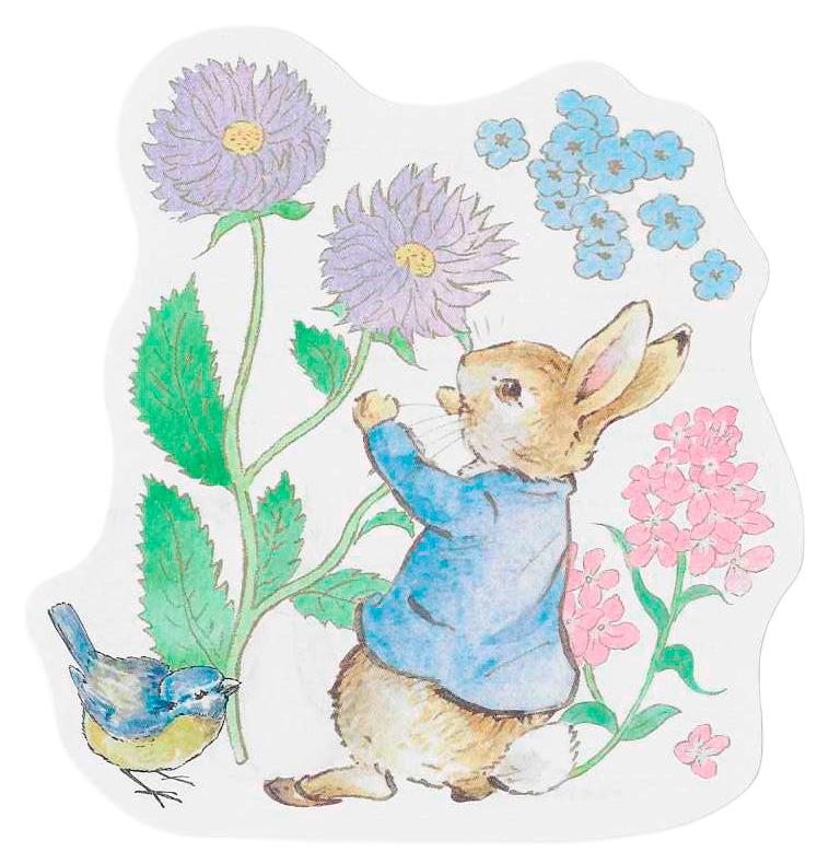 Notinhas Peter Rabbit die cut