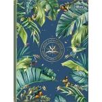 Naturalis edição especial 80 folhas capa Borboleta