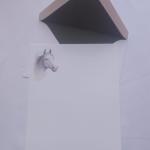 Conjunto importado de cavalo.