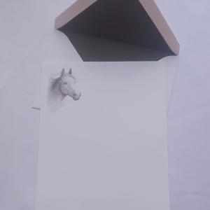 Conjunto importado de cavalo.