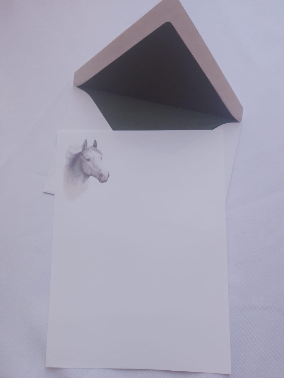 Conjunto importado de cavalo.