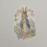 Notinha Peter Rabbit