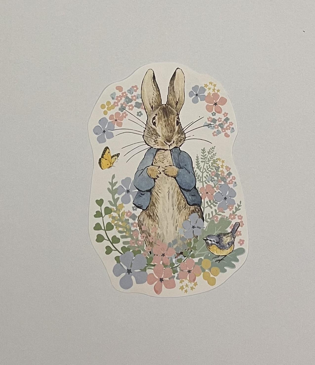 Notinha Peter Rabbit