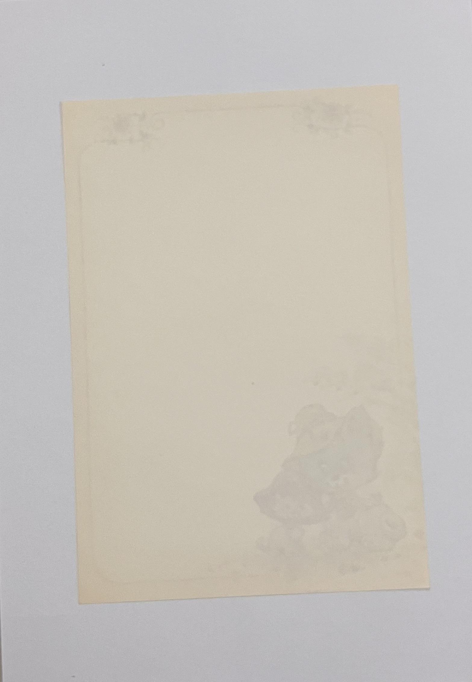 Papel de carta Nelly 2014