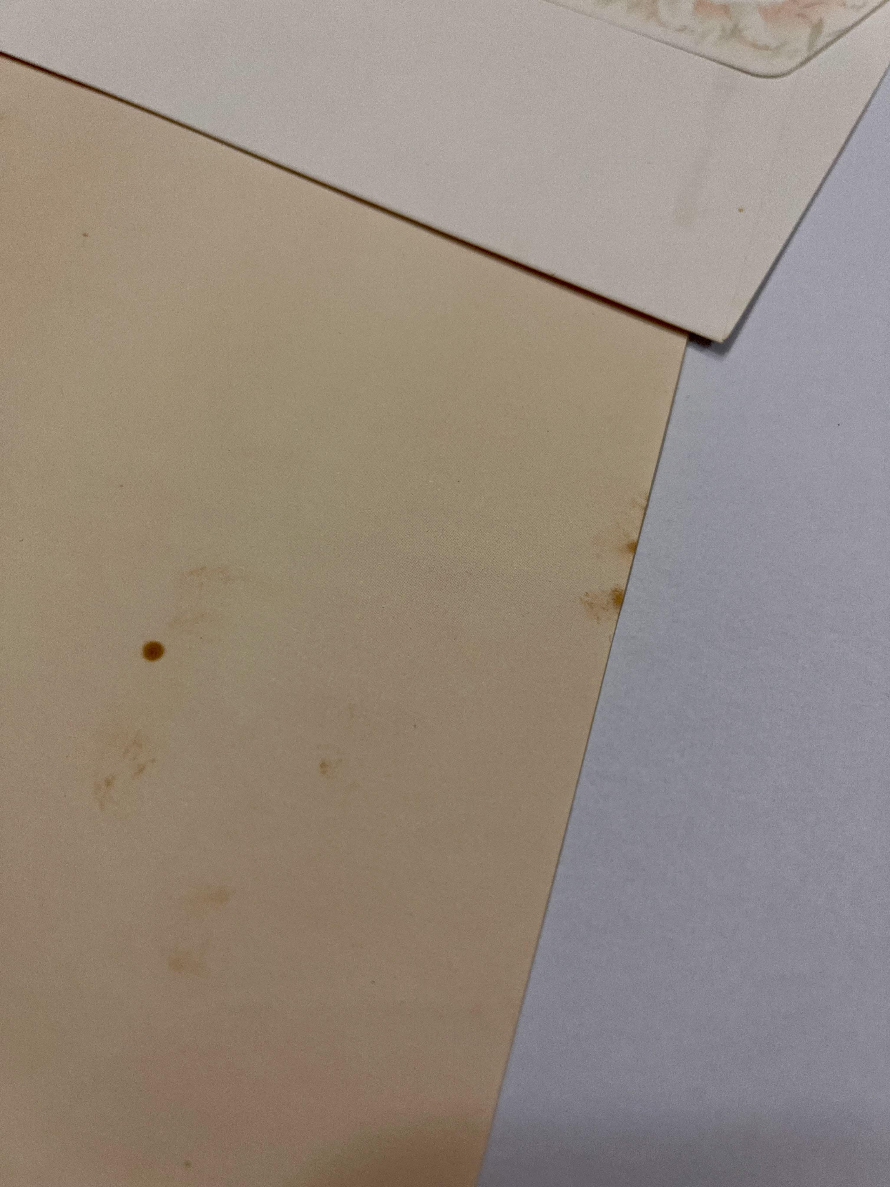 Papel de carta + envelope gatinhos